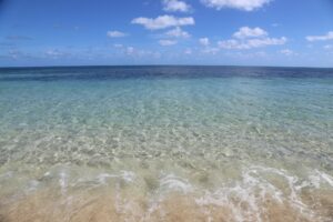 海