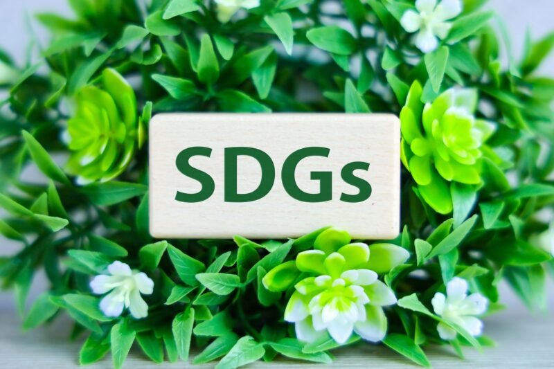 SDGS